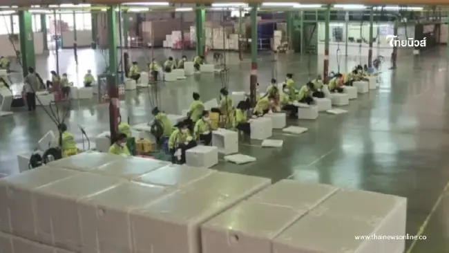 300 ชีวิตน้ำตาคลอ โรงงานดังไปต่อไม่ไหว ประกาศปิดกิจการ