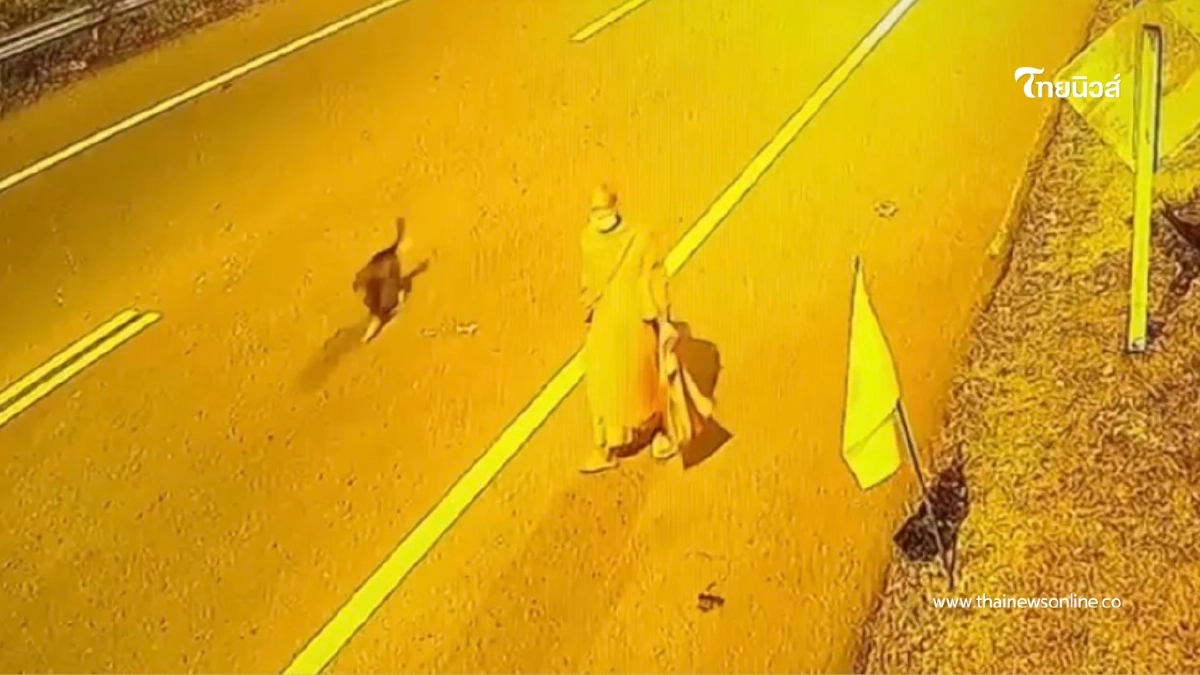 เร่งหา เจ้าอาวาสวัดสนามไชย กล้องจับภาพสุดท้ายเดินเหม่อบนสะพาน