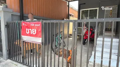 นาทีเดือด! หมาหลุดตัวเดียว ทำเอาเพื่อนบ้านซัดกันน่วม นาทีเดือด! หมาหลุดตัวเดียว ทำเอาเพื่อนบ้านซัดกันน่วม
