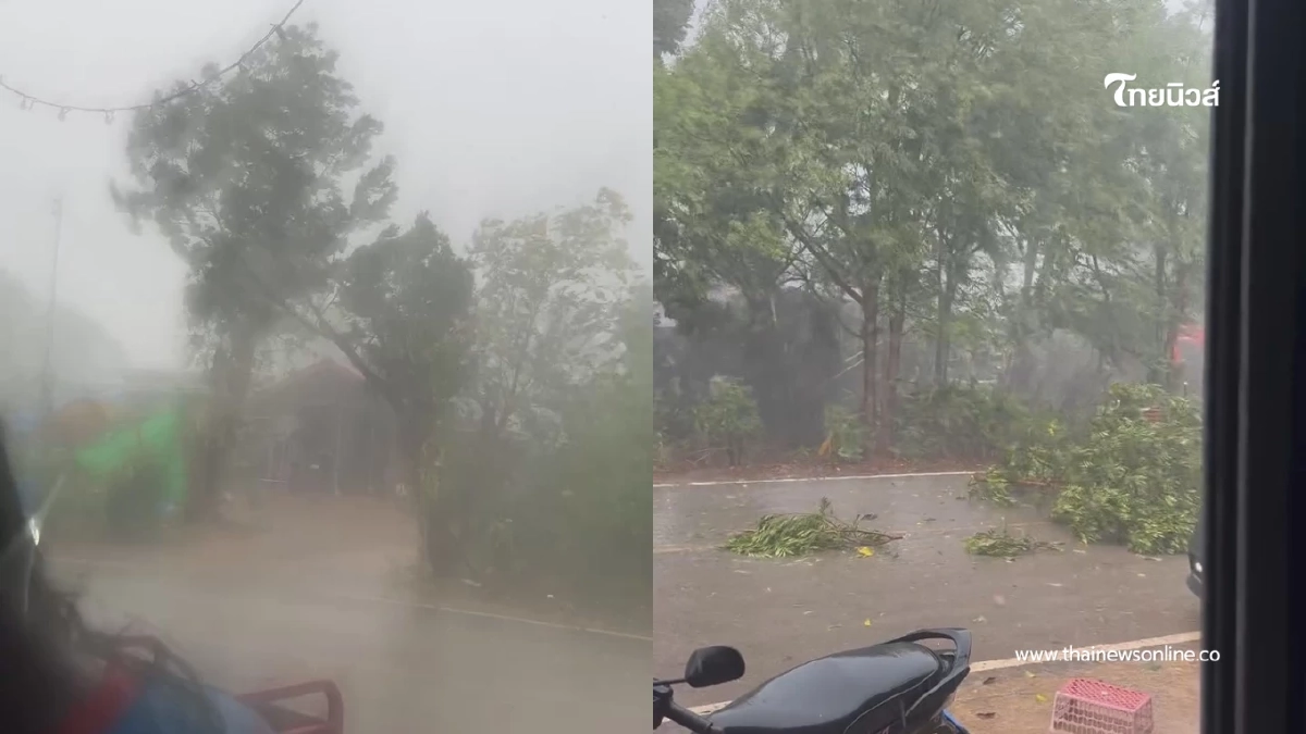 พายุฤดูร้อนถล่มโคราช ปากช่อง-สีคิ้วอ่วม ลมกระโชกแรงต้นไม้หัก