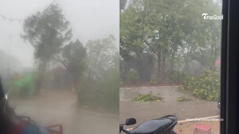 พายุฤดูร้อนถล่มโคราช ปากช่อง-สีคิ้วอ่วม ลมกระโชกแรงต้นไม้หัก