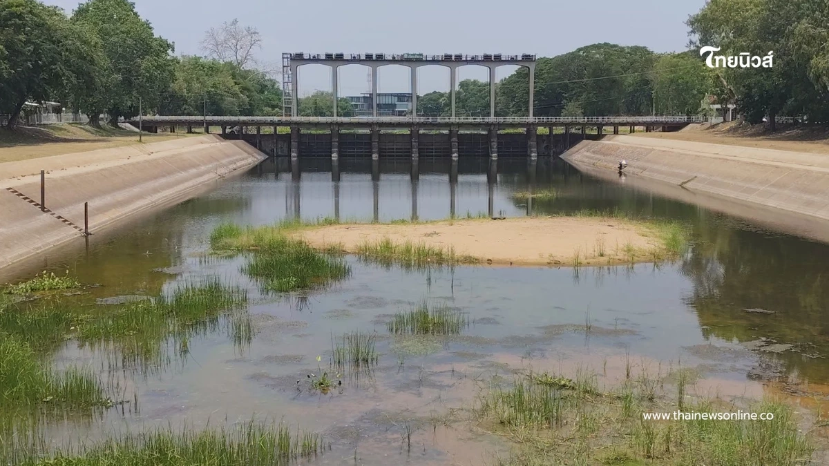 พิมายแล้งจัด! เขื่อนสั่งปิดประตูระบายน้ำ กระทบนาปรังจ่อตาย