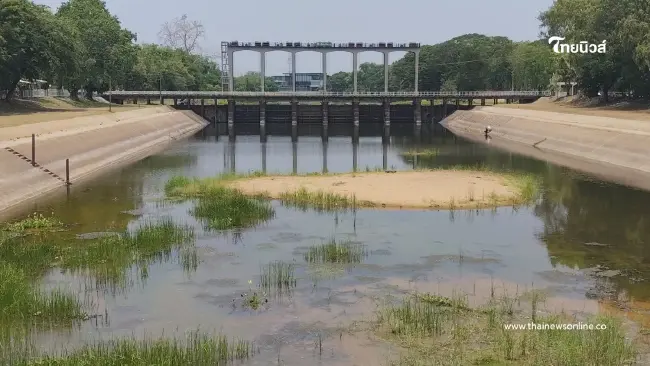 พิมายแล้งจัด! เขื่อนสั่งปิดประตูระบายน้ำ กระทบนาปรังจ่อตาย