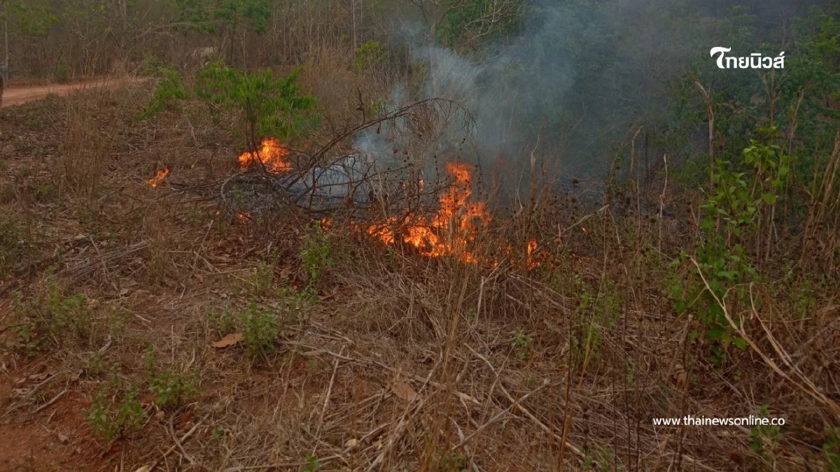 แม่ฮ่องสอนอ่วมหนัก ฝุ่น PM2.5 ปายพุ่ง 102.1 กระทบสุขภาพ