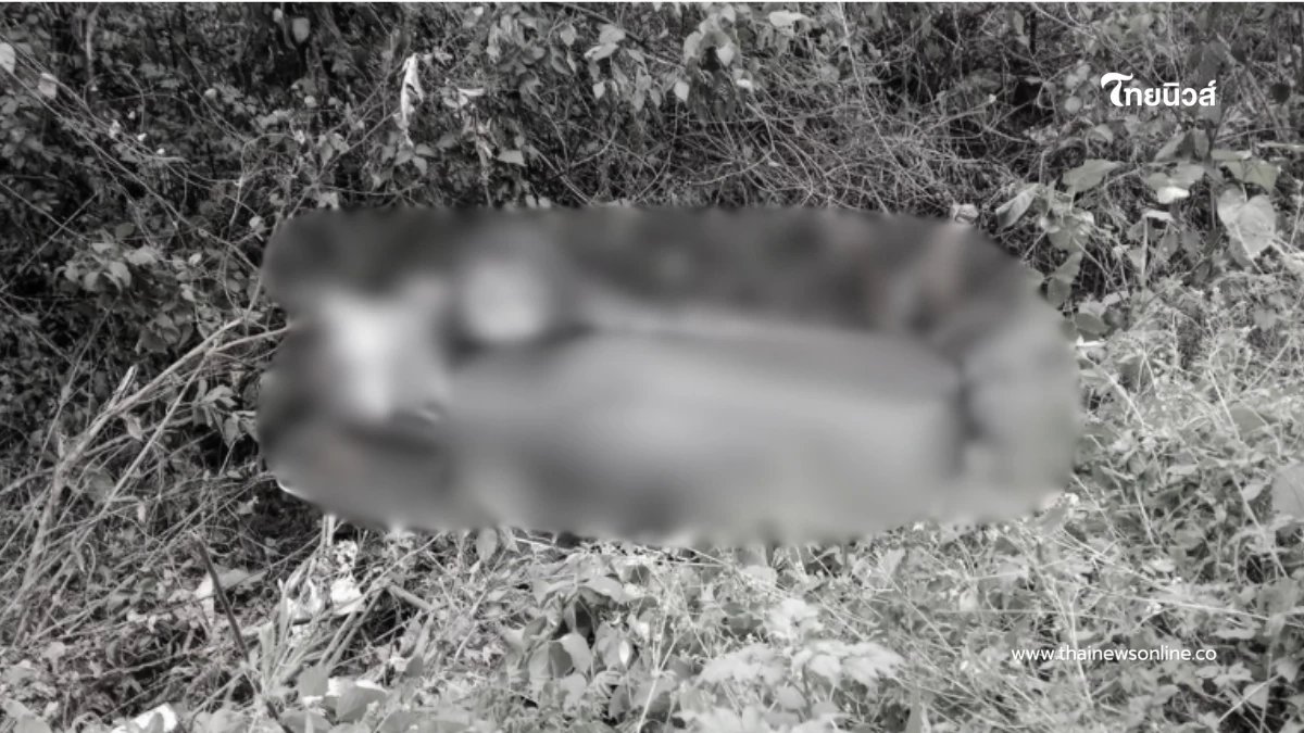 สลดหมู่ 8 ศพ แหกโค้งห้วยเย็น ทางหลวงปัว–บ่อเกลือ เจ็บระนาว 11 ราย