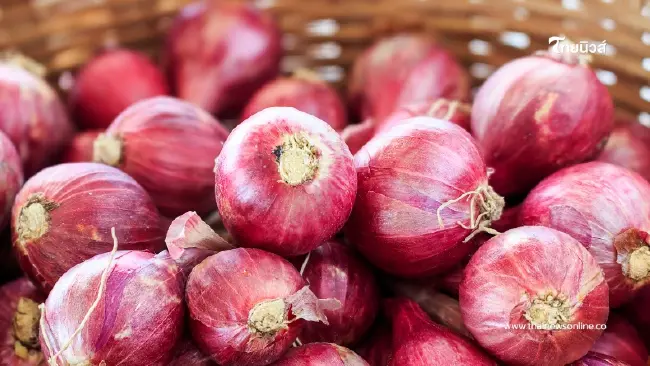 ภูมิปัญญาบอกต่อ วางหอมแดงหัวเตียง ทริคง่ายๆ ที่ช่วยให้หลับดี