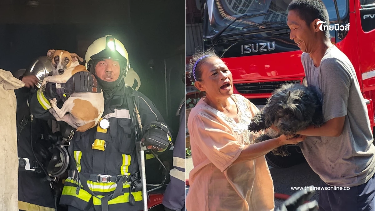 ไฟไหม้ตึกแถวสัตหีบ จนท.ลุยควันช่วย 2 สุนัขรอดหวุดหวิด