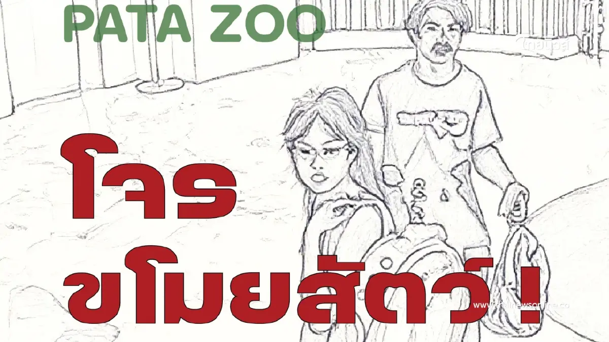 ท้าทายกฎหมาย ล่าโจรชายหญิงขโมยสัตว์ Exotic สวนสัตว์พาต้า ท้าทายกฎหมาย ล่าโจรชายหญิงขโมยสัตว์ Exotic สวนสัตว์พาต้า