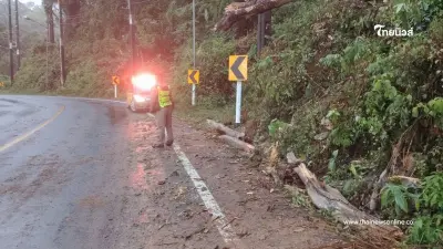 พายุผ่านแต่ห่วงไม่คลาย ตำรวจทางหลวง ลุยเคลียร์ต้นไม้ล้ม