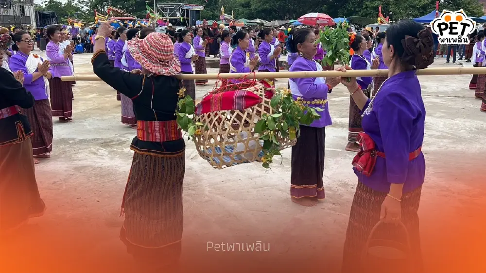 ความเชื่อ "แห่นางแมว" ขอฝน เมื่อวัฒนธรรมต้องปรับตัวตามยุคสมัย ความเชื่อ "แห่นางแมว" ขอฝน เมื่อวัฒนธรรมต้องปรับตัวตามยุคสมัย