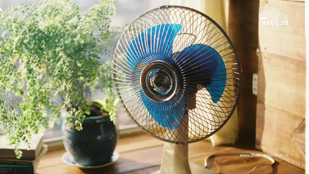 เผยทริคเด็ด! ล้างพัดลมแบบไม่ง้อช่าง ประหยัดเวลาแต่สะอาดจริง