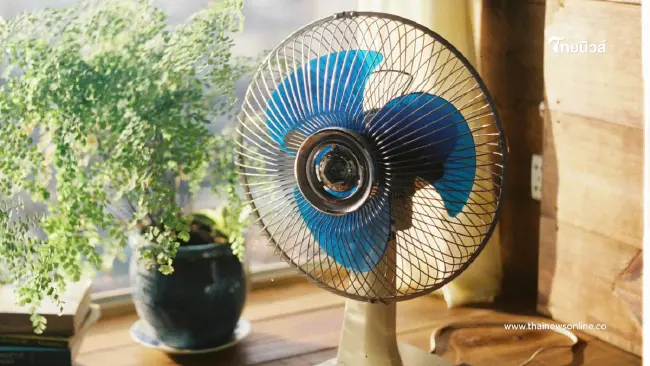 เผยทริคเด็ด! ล้างพัดลมแบบไม่ง้อช่าง ประหยัดเวลาแต่สะอาดจริง