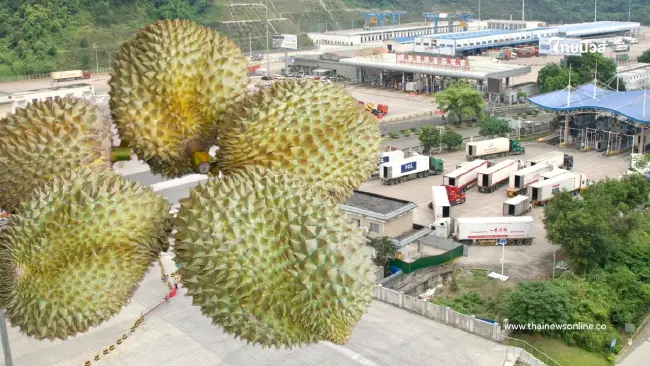 เปิดเส้นทางทอง รถไฟจีน-ลาวส่งทุเรียนไทยถึงคุนหมิงใน 26 ชม.