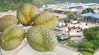 เปิดเส้นทางทอง รถไฟจีน-ลาวส่งทุเรียนไทยถึงคุนหมิงใน 26 ชม.