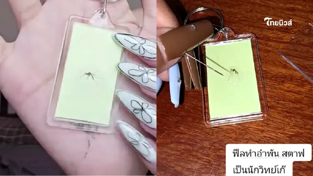 จากยุงสู่เงิน สาวนักครีเอทีฟ “ยุงฟอร์มไทยแลนด์” ต่างชาติแห่ซื้อ