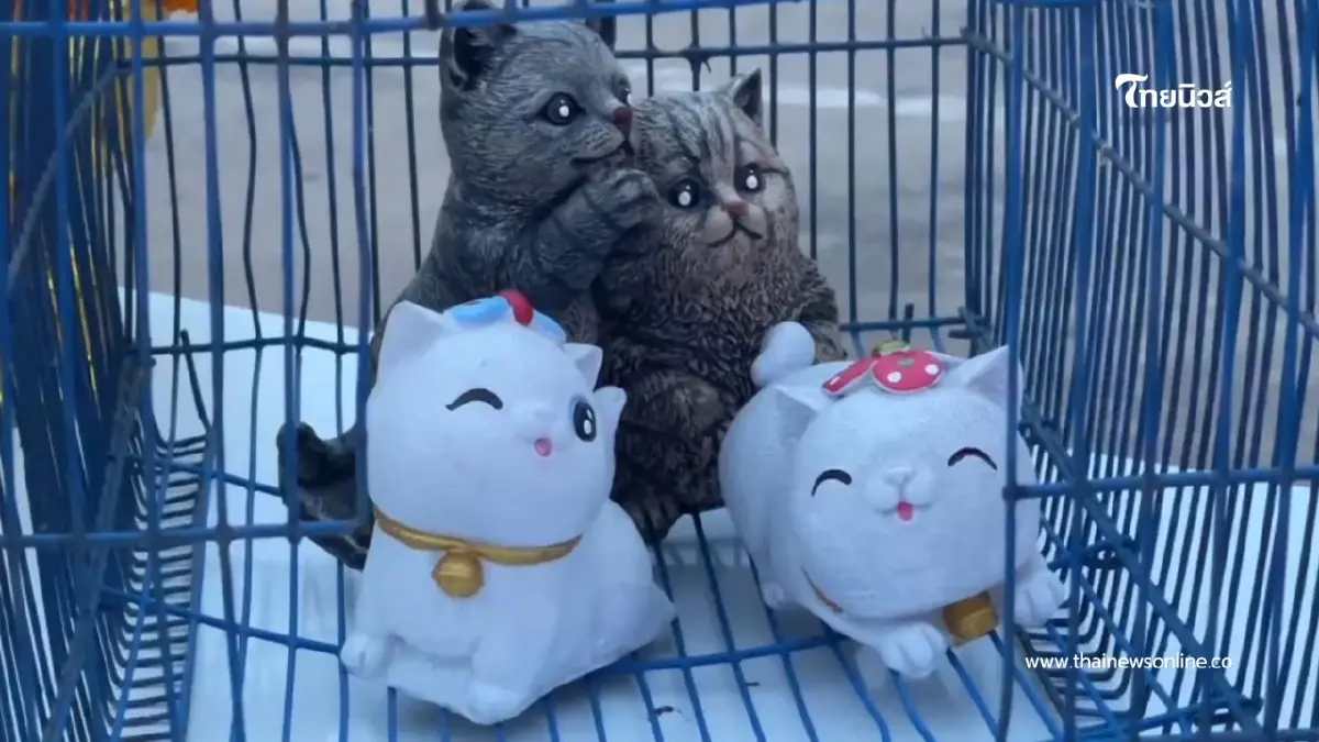 ขนลุกทั้งหมู่บ้าน! แห่นางแมวชัยภูมิ ฝนเททันตาเห็นหลังทำพิธี