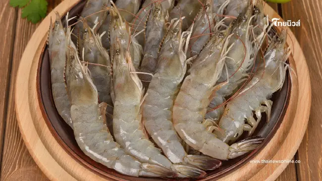 กินแบบไม่รู้ตัว เปิด 3 จุดอันตรายในกุ้ง ที่ควรเลี่ยงก่อนเข้าปาก