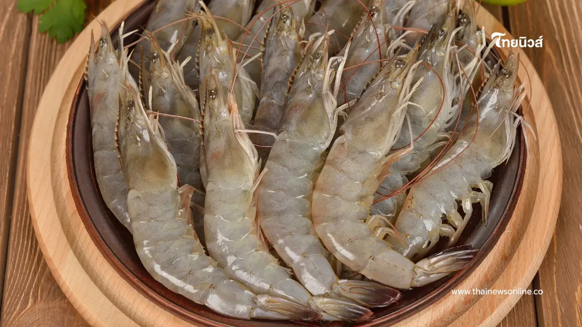 กินแบบไม่รู้ตัว เปิด 3 จุดอันตรายในกุ้ง ที่ควรเลี่ยงก่อนเข้าปาก กินแบบไม่รู้ตัว เปิด 3 จุดอันตรายในกุ้ง ที่ควรเลี่ยงก่อนเข้าปาก