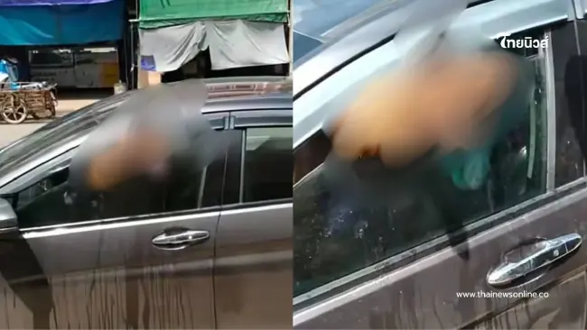นาทีชีวิต! สุนัข 2 ตัวถูกทิ้งในรถกลางแดด มุดกระจกร้องลั่นตลาด