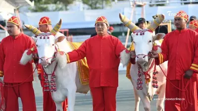 วันพืชมงคล 2569 พระโคกินอะไร เปิดสัญญาณเตือนที่มากกว่าคำทำนาย