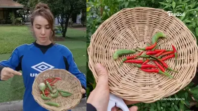 ชีวิตเรียบง่ายสไตล์ “ปาล์มมี่” พาชมสวนผักปลูกเอง สดน่ากินทุกต้น
