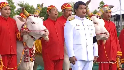 เปิดผลเสี่ยงทาย "วันพืชมงคล 69" พระโค กินถั่ว-น้ำ-หญ้า-เหล้า