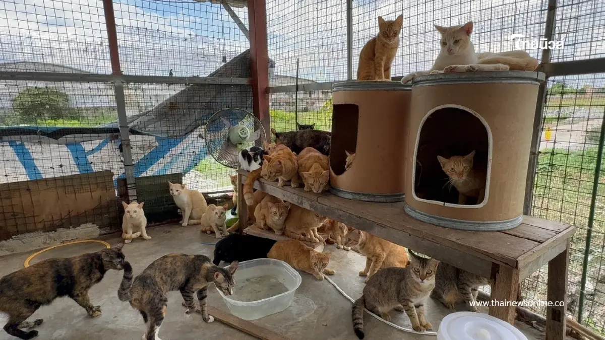 120 ชีวิตไร้บ้าน กัญจนา สั่งลุยควักแสนสร้างโรงเรือนต่อชีวิตใหม่