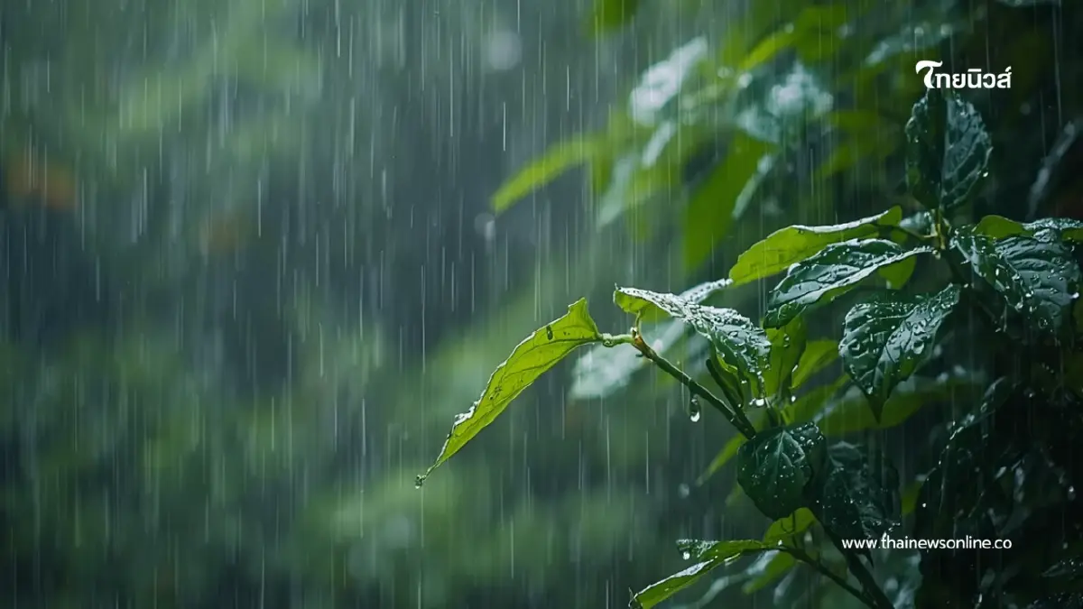 กรมอุตุฯเตือน ฝนถล่มหนักมาก 2 ภาคระวังน้ำท่วม คลื่นสูง 3 เมตร กรมอุตุฯเตือน ฝนถล่มหนักมาก 2 ภาคระวังน้ำท่วม คลื่นสูง 3 เมตร