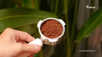 กากกาแฟมีค่ามากกว่าที่คิด เปิด 9 เคล็ดลับเปลี่ยนของทิ้งให้เป็น ตัวช่วยสารพัดประโยชน์ กากกาแฟมีค่ามากกว่าที่คิด เปิด 9 เคล็ดลับเปลี่ยนของทิ้งให้เป็น ตัวช่วยสารพัดประโยชน์