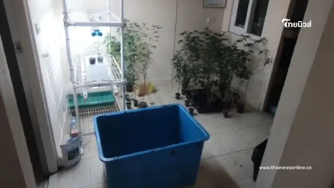 สลดหนัก พ่อค้ากัญชาถูกยัดลังฝังดิน หมกกลางบ้านตัวเอง สลดหนัก พ่อค้ากัญชาถูกยัดลังฝังดิน หมกกลางบ้านตัวเอง