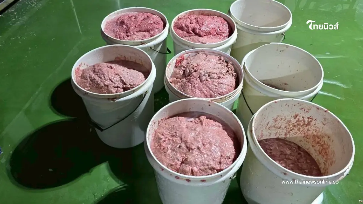 เปิด 20 ยี่ห้อ หมูยอ-ลูกชิ้นเถื่อน ขายทั่วไทย ล็อตใหญ่ 7 ล้าน
