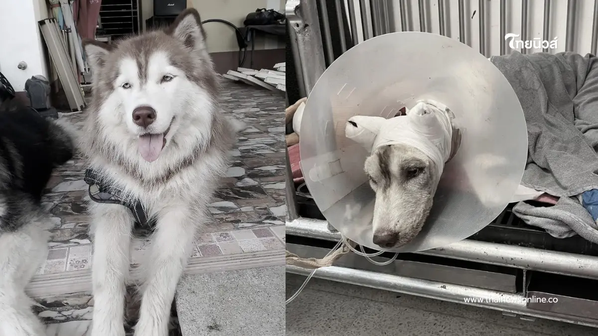ตัดสินแล้ว "คดีน้องมอลลี่" คอมเมนต์ถล่มยับหลังเห็นโทษ
