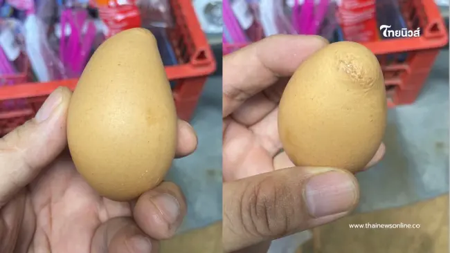 ฮือฮา พ่อค้าร้านชำพบ ไข่ไก่รูปร่างประหลาด เตรียมเก็บลุ้นโชค