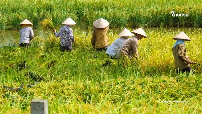 เตือนเกษตรกร ไม่ขึ้นทะเบียน อาจชวดเงินเยียวยา-พลาดหลายโครงการ