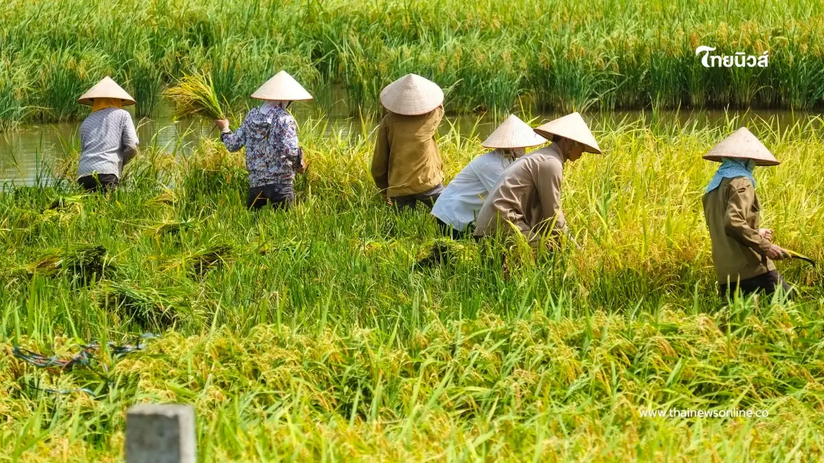 เตือนเกษตรกร ไม่ขึ้นทะเบียน อาจชวดเงินเยียวยา-พลาดหลายโครงการ เตือนเกษตรกร ไม่ขึ้นทะเบียน อาจชวดเงินเยียวยา-พลาดหลายโครงการ