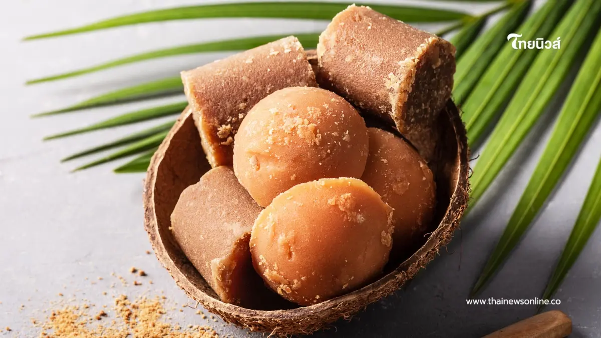 ไขข้อข้องใจ  "น้ำตาลปี๊บ" ทำมาจากอะไร? เผยเคล็ดลับความหวาน