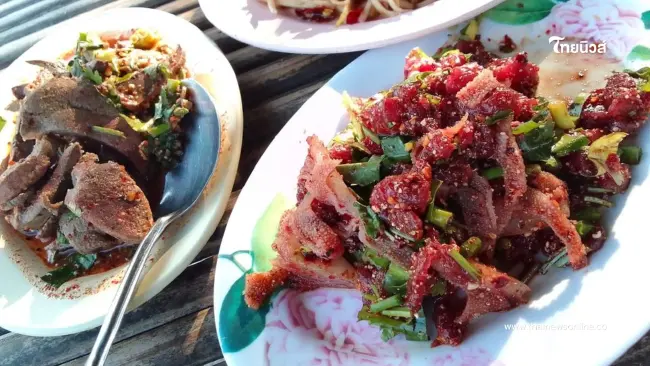 อีสานล่างวิกฤต ไข้หูดับพุ่ง 75 ราย โคราชเสียชีวิตสะสมสูงสุด