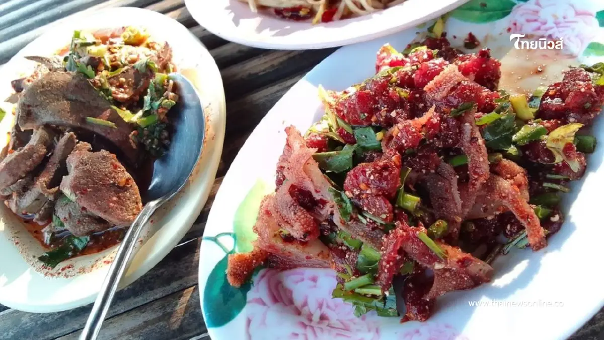 อีสานล่างวิกฤต ไข้หูดับพุ่ง 75 ราย โคราชเสียชีวิตสะสมสูงสุด อีสานล่างวิกฤต ไข้หูดับพุ่ง 75 ราย โคราชเสียชีวิตสะสมสูงสุด