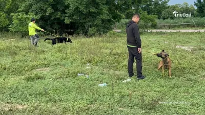 "เร่งระดมทีม K9 ค้นหา 2 พี่น้องรัสเซียสูญหายในชลบุรี!" "เร่งระดมทีม K9 ค้นหา 2 พี่น้องรัสเซียสูญหายในชลบุรี!"