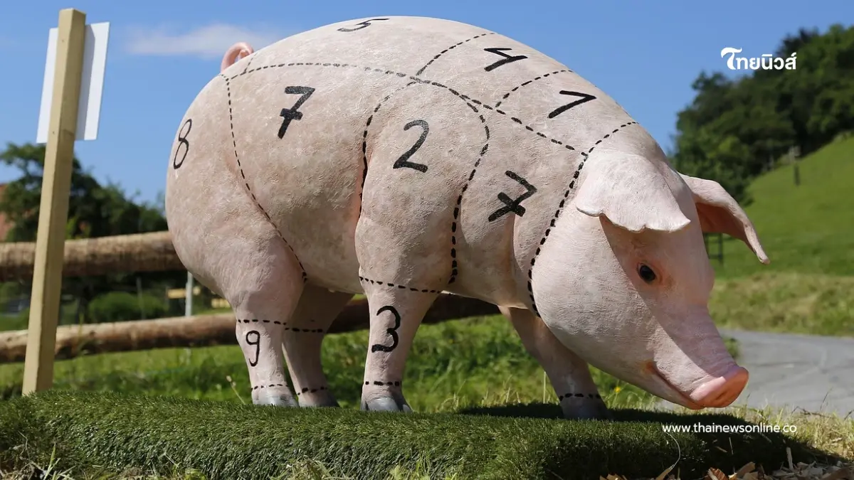 3 ส่วนของหมู ที่ขนาดหมอยังไม่กิน แต่หลายคนชอบแต่ไม่รู้