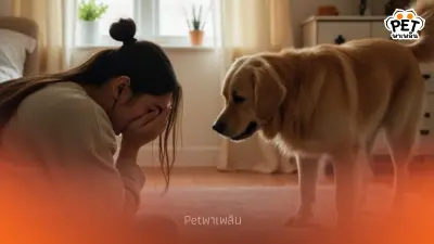รู้ได้ยังไงว่าทาสกำลังร้องไห้? ส่องวิธีหมาแมวรับรู้อารมณ์