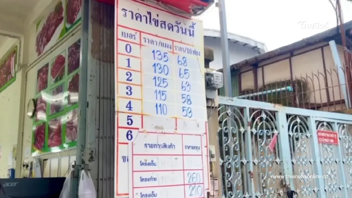 วิกฤตไข่แพงพ่นพิษ! ร้านค้าส่งสุรินทร์ทรุด ลูกค้าหายเกลี้ยง