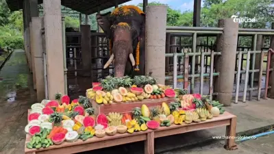 ชีวิตใหม่ตระกูลแสน! พระครูอ๊อดไถ่ชีวิต "พลายไข่แดง" เชือกที่ 26