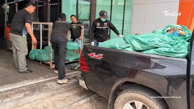 สกัดจับกระบะตู้ทึบขนหนังหมูเยอรมนีหนีภาษี 720 กิโลฯ คาถนน
