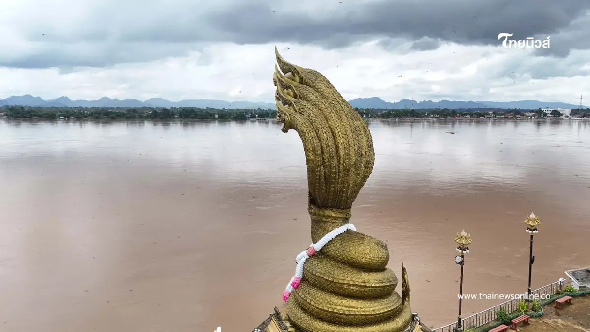 วิกฤตหนักน้ำโขง 12 เมตรล้นทะลัก ท่วมแล้วกว่าสองหมื่นไร่! วิกฤตหนักน้ำโขง 12 เมตรล้นทะลัก ท่วมแล้วกว่าสองหมื่นไร่!