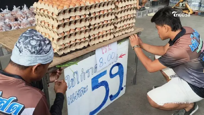 หมดเกลี้ยงใน 10 นาที! เจ้าของร้านใจดี ขนไข่ไก่ขายแผงละ 59 บาท หมดเกลี้ยงใน 10 นาที! เจ้าของร้านใจดี ขนไข่ไก่ขายแผงละ 59 บาท