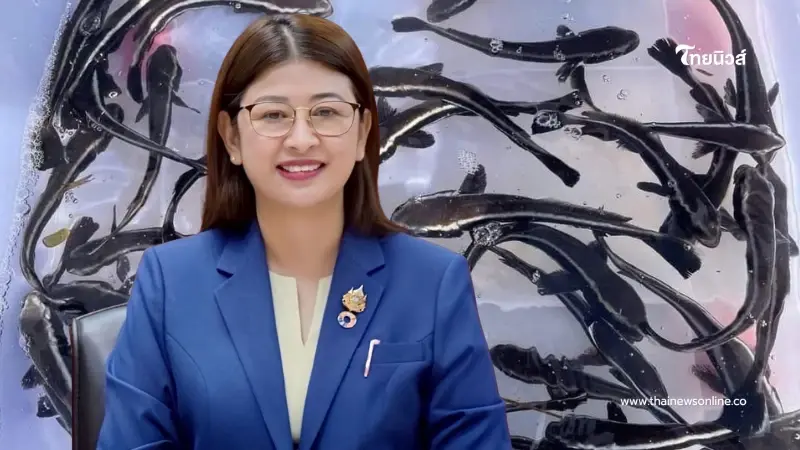 ดันของดีทะเลไทย “ปลาช่อนทะเล” ดาวรุ่งตัวใหม่ ทางเลือกทำเงิน