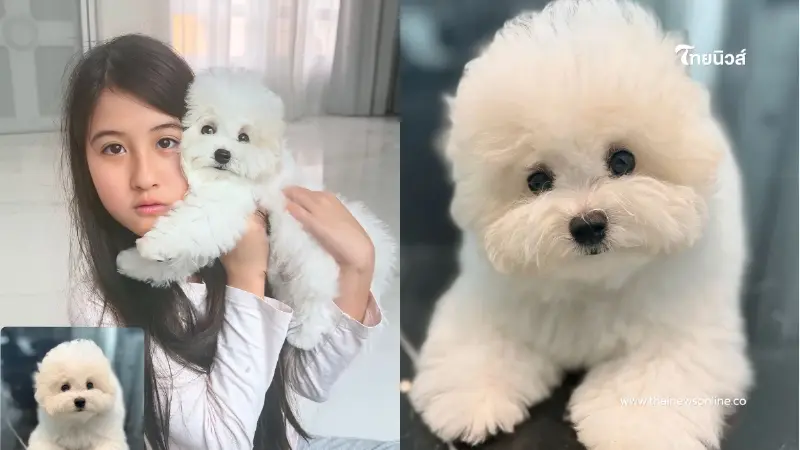อัปเดตความน่ารัก ลูกสาวหนุ่มกรรชัย อวดโมเมนต์อุ้มสมาชิกใหม่ อัปเดตความน่ารัก ลูกสาวหนุ่มกรรชัย อวดโมเมนต์อุ้มสมาชิกใหม่