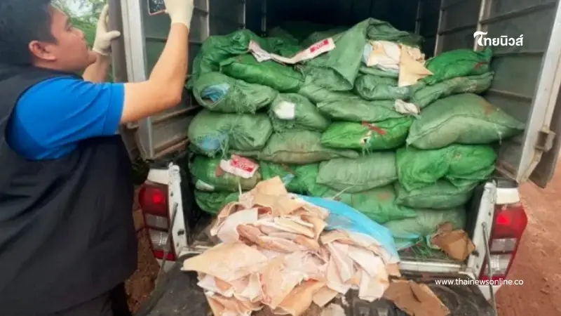 สายชาบู-หมูกระทะเช็กด่วน บุกจับ "หนังหมูเถื่อน" ลักลอบนำเข้ากว่า 99 กระสอบ