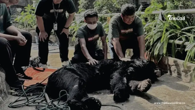 ปิดตำนาน "ปู่ดำเงา" หมีควายสวนสัตว์พาต้า อายุยืนมากที่สุดในไทย